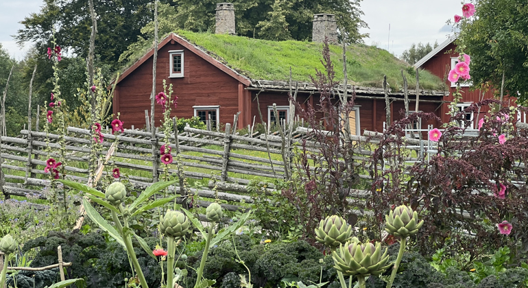 Linnés Råshult