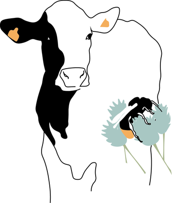 Illustration av en ko