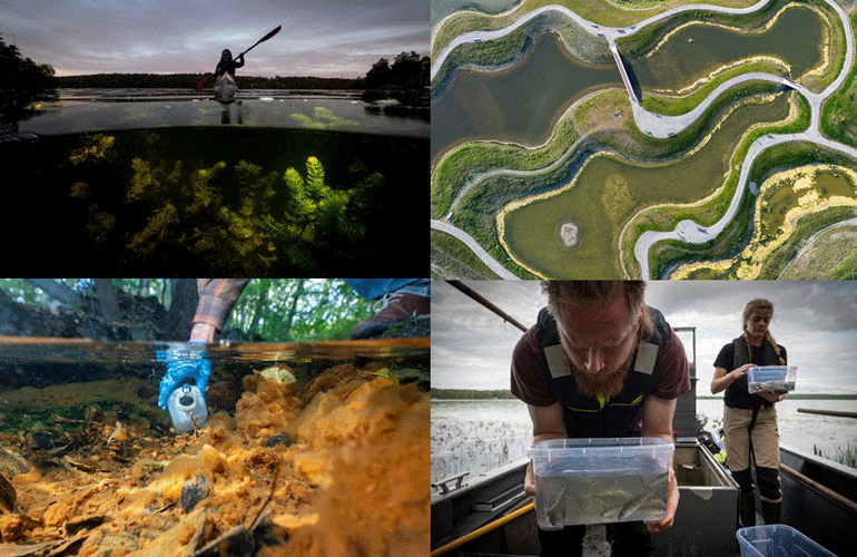 Collage av fyra fotografier från EU-projektet Rich Waters. Bilderna är från vattenmiljö.