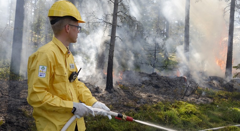Person med skyddskläder och brandslang i en skog vid en naturvårdsbränning.