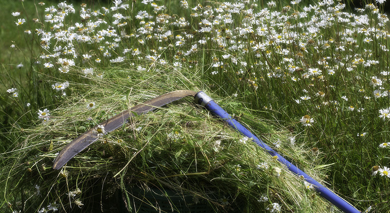 En lie med blått skaft ligger i gräset. Foto.