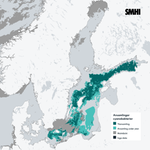 Bilden är en karta/satellitbild över Östersjön som visar ytansamlingar av cyanobakterier från södra Östersjön till norra Östersjön och i Finska viken.