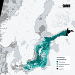 Bilden är en karta/satellitbild över Östersjön med mestadels klart väder över hela området. Ytansamlingar av cyanobakterier har observerats från södra Östersjön till norra Östersjön och i Finska viken. Lite svagare blomningar finns i sydvästra Östersjön och i Skärgårdshavet. Källa: SMHI