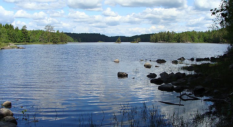 Immeln-Raslången.