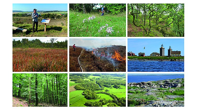 Bild-kollage med bilder från reservat med olika naturtyper
